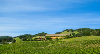 California: The Vineyards of Napa Valley