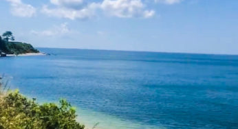 NYC Getaway: North Fork, Long Island